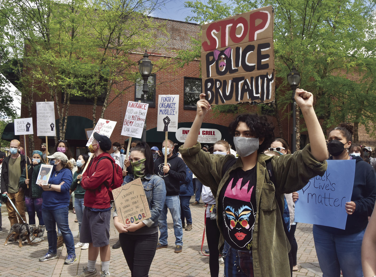 Hundreds attend 'Justice for George Floyd' rally in Oneonta